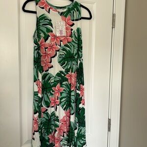 NWT LuLaRoe Charlotte Dress